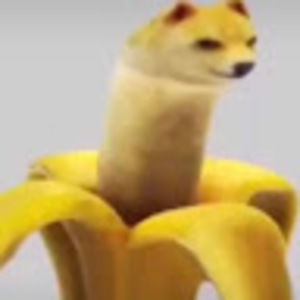 Meet your Posher, Zofia